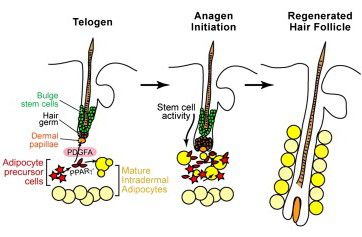 201196165734422 (1).jpg