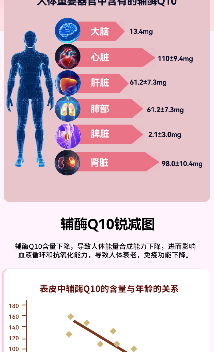 辅酶Q10-XX_04.jpg